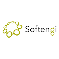 Softengi