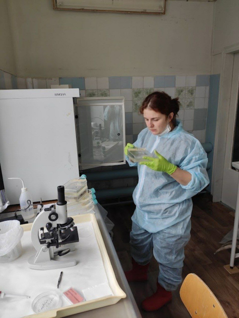 Від радіації до ведмедів: чим займаються науковиці в Україні