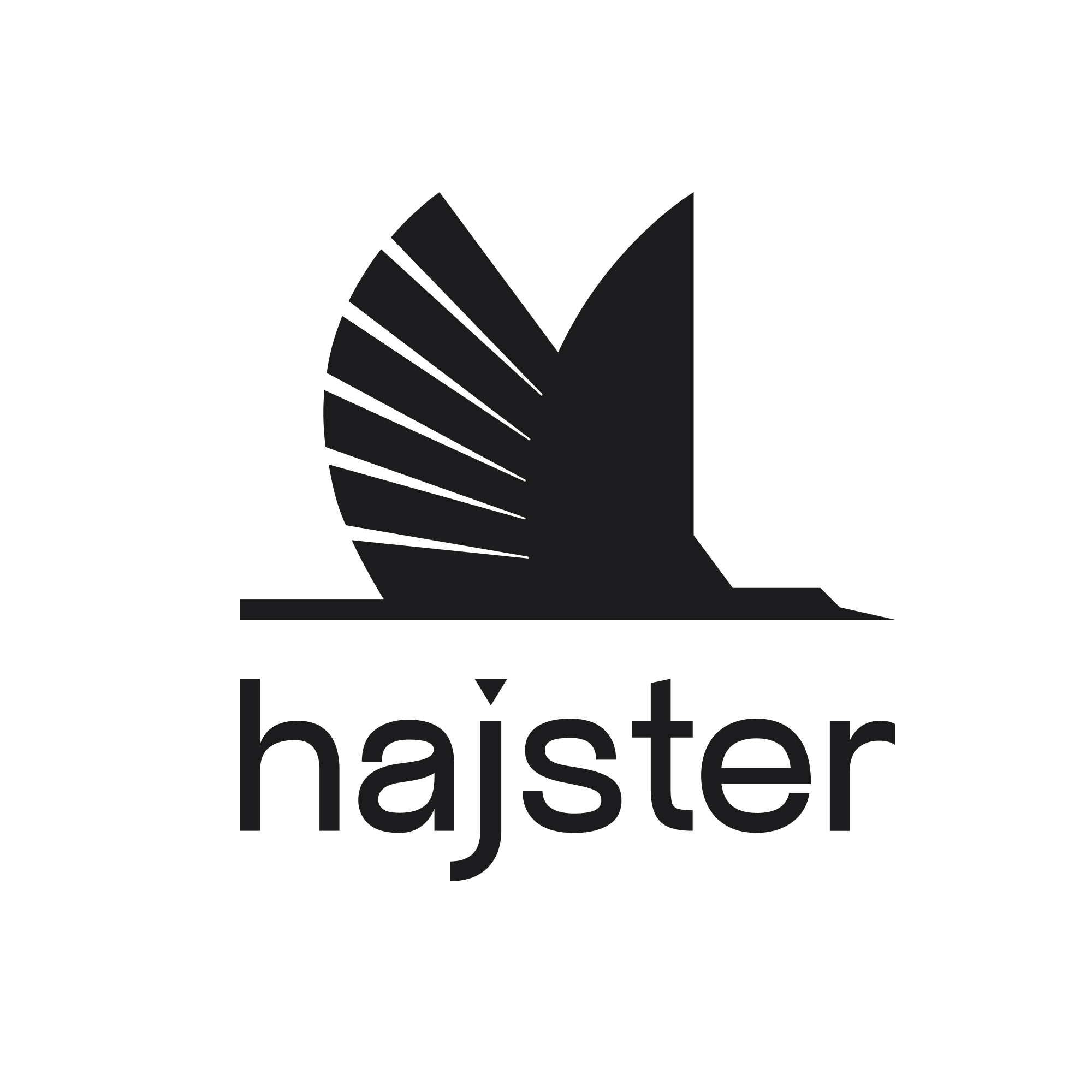 HAJSTER