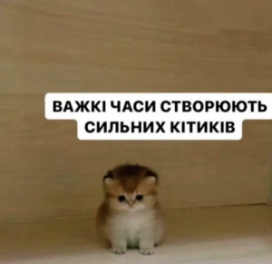 Чи здатні ви бути лідером? Ось найважливіші навички та якості, які для цього потрібні 1